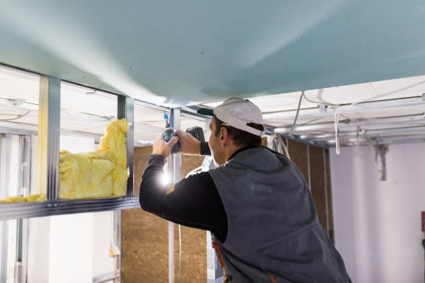 Best Insulation Replacement Services  in Fair Oaks, VA