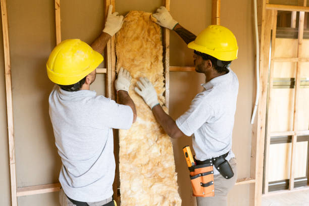Best Attic Insulation Installation  in Fair Oaks, VA