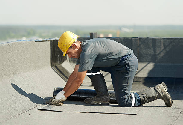 Best Crawl Space Insulation  in Fair Oaks, VA