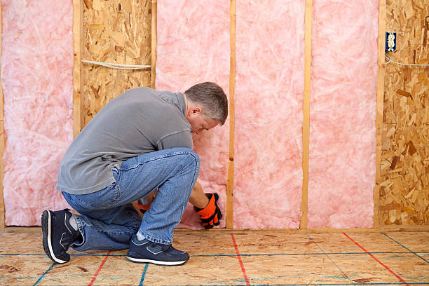Best Insulation Contractors for Homes  in Fair Oaks, VA